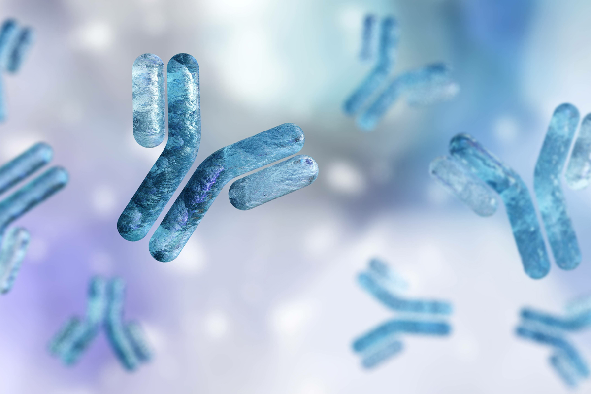 inflammation cellular response