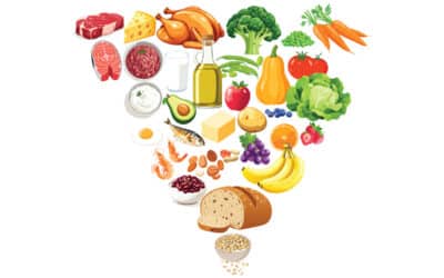 The 2026 Food Pyramid: A Dietitian’s Take on the New Dietary Guidelines