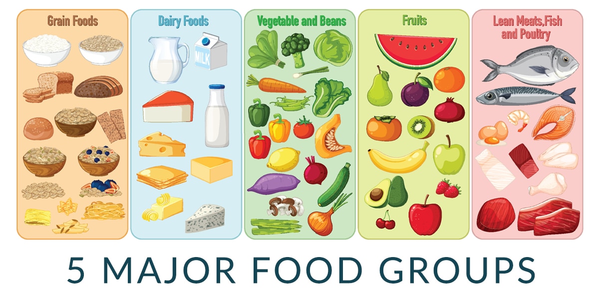 5 major food groups