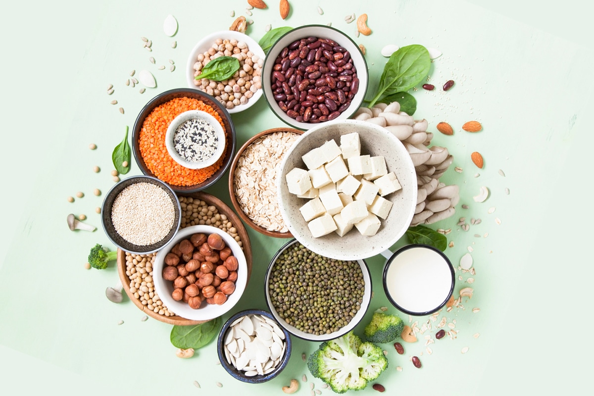 good sources of plant based proteins